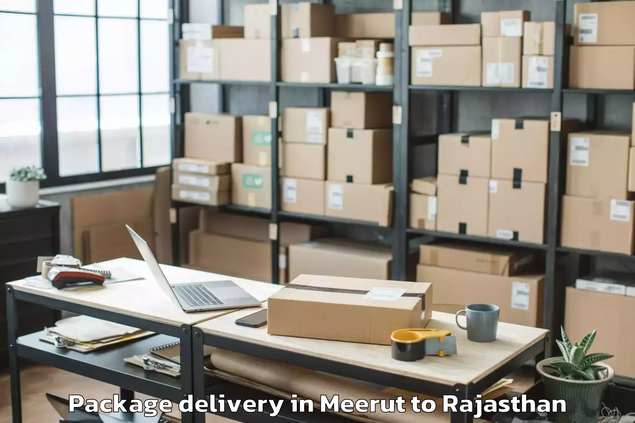 Book Meerut to Baswa Package Delivery